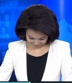 主持人文静:如何评价央视主持人文静？