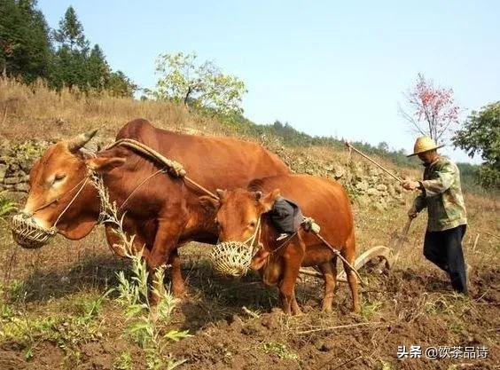 2021年有什么奇怪现象，2021年3月15日，为啥今年首次沙尘暴这么的猛，遮天蔽日