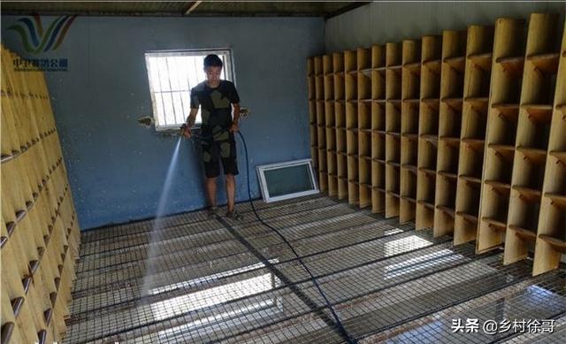 三类环境消毒要求:家禽养殖场要怎样进行消毒才有效？