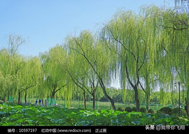 昆明暴恐案:为什么4月份能看到五月六月的新闻