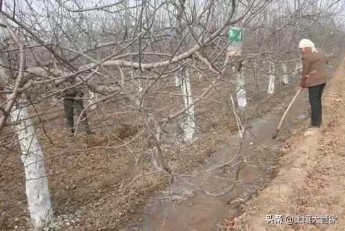 水溶肥水大能冲走吗？