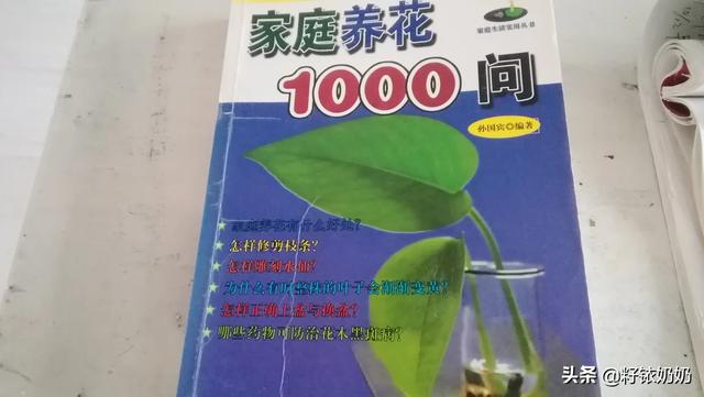 关于养花的书有推荐吗？