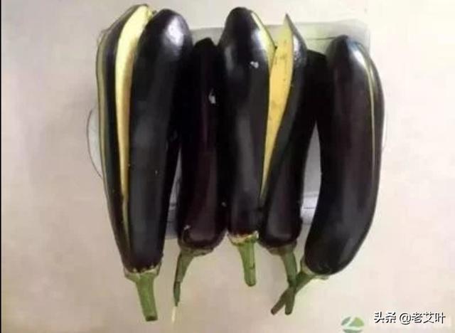 茄子有哪些种类?要如何种植管理才能高产?