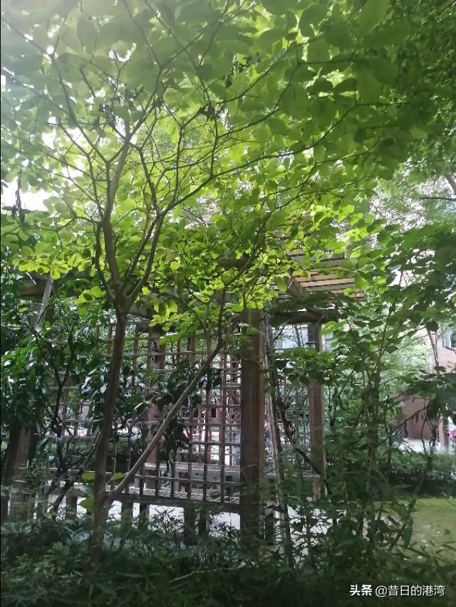 自己手头存了一万块,打算自己做点生意,一天能赚个三五百块的,有什么好的建议吗？