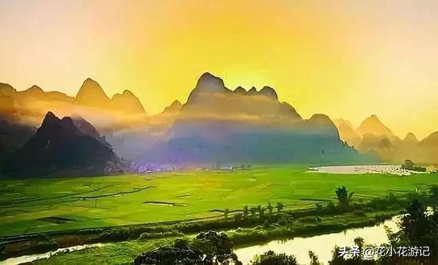 广西土松狮吧:有懂狗的吗，请问这是什么狗？