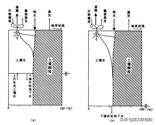 黄金葛与绿萝:种植绿萝可以使用草木灰吗？怎么样？