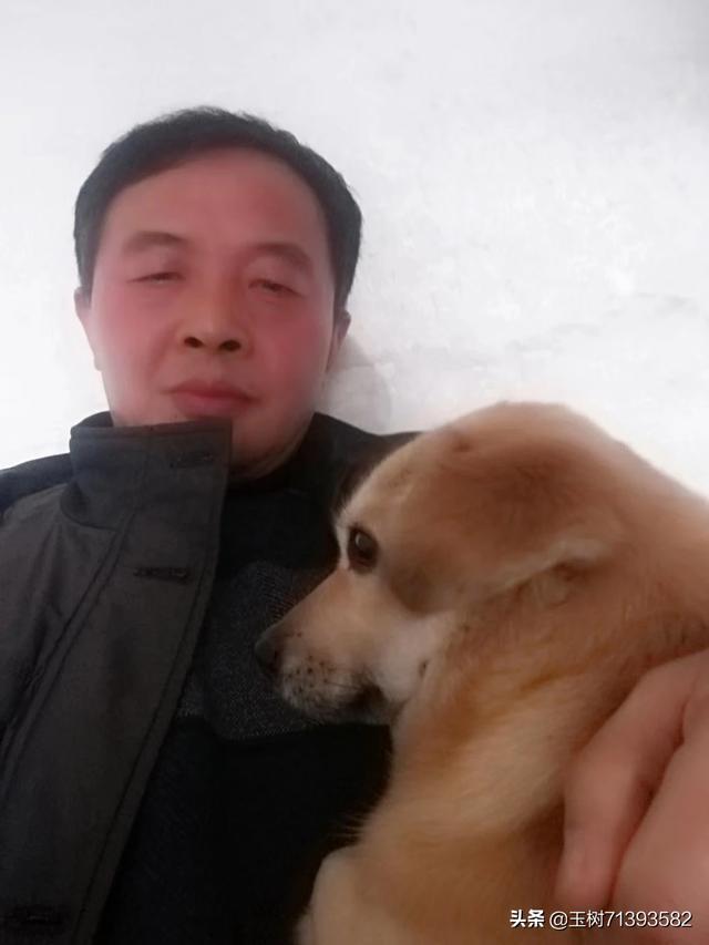 宠物情人:宠物情人评价 人和宠物会有很深的感情么？