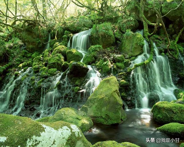 白天看书总分心,任务没有完成又很自责,可以给我个建议吗？