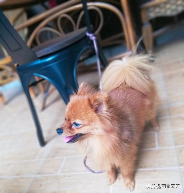 湖南有哪些原生态土特产和好玩的地方？