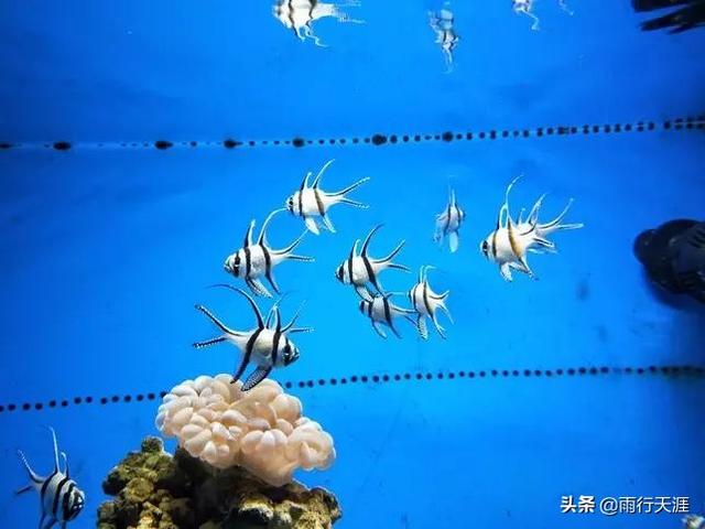 南宁城区周末带娃，去哪里玩合适？:南宁永恒宝贝儿童摄影 第2张