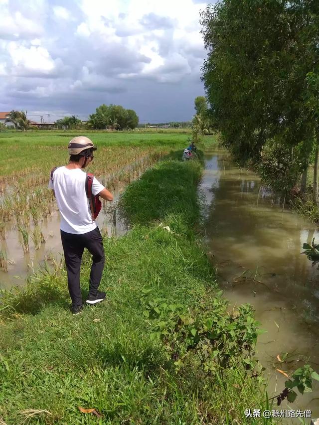 越南是一个什么国家（越南是个国家吗）