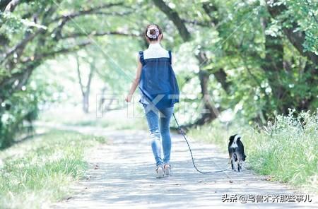 美女与狗狗壁纸高清:大城市每天遛狗的年轻女人都是些什么人？