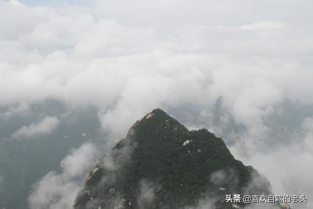 saluki在西宁的足迹:从河南洛阳到宁夏，青海自驾8天，什么线路合适？