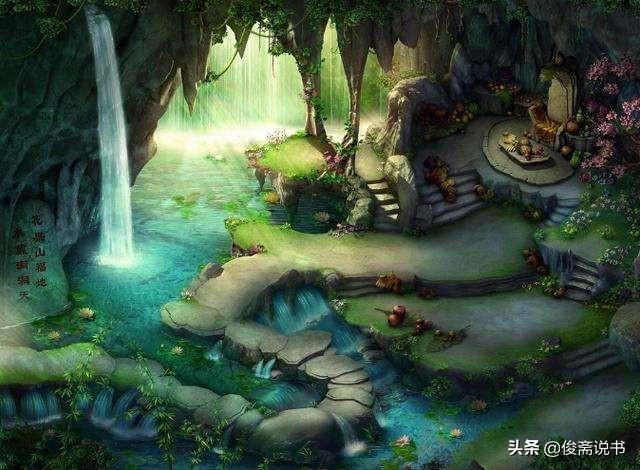 小石猴:有什么既便宜，又聪明，不需要在笼子里饲养的宠物？