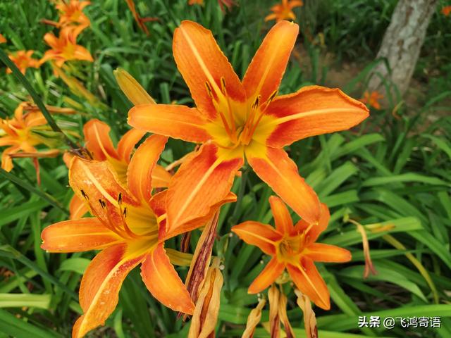 什么是文化,文化可以融合吗？
