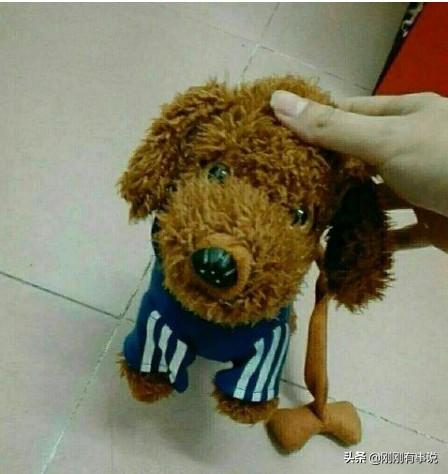 狗狗心事 最后一段:如果狗狗心情不好怎么办？