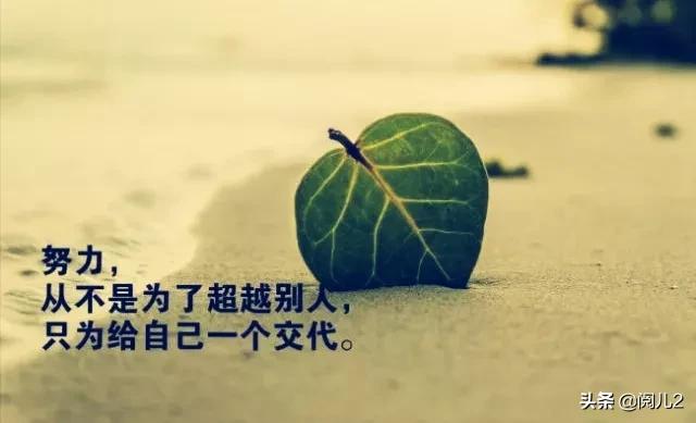适合发<a href=https://maguai.com/list/256-0-0.html target=_blank class=infotextkey>朋友圈</a>的励志句子:可不可以分享几句励志的句子？(想几句简洁的励志句子)