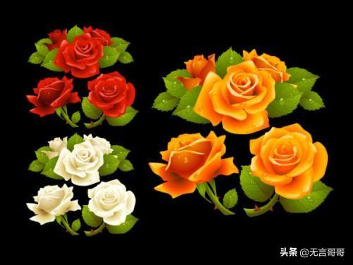 玫瑰花的外貌描写,描写玫瑰的样子的句子。急急急？