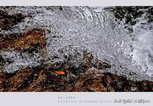使用手机拍摄，使用“前景”有什么技巧