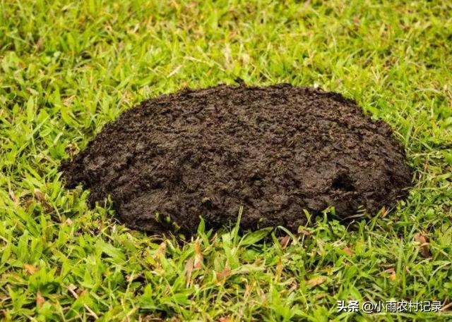 有机肥里都有什么好东西，有机肥好用吗施用有机肥对土壤都有哪些好处