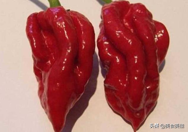 虎皮青椒是哪里的菜(虎皮青椒酿肉是哪里的菜)