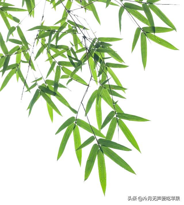 容斋随笔里面是如何平价范仲淹的？
