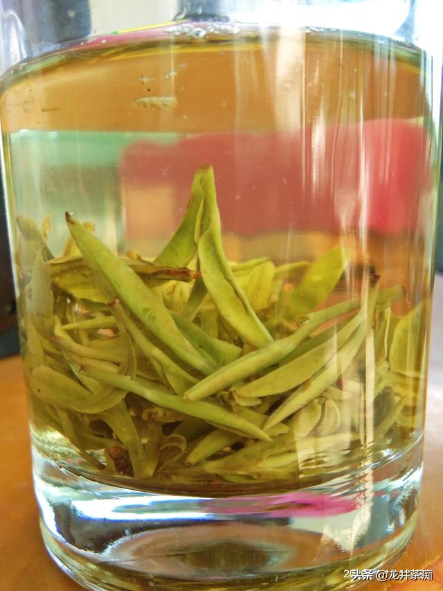 绿茶有哪些性价比高的？