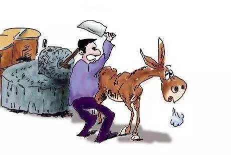 头条问答 - 你相不相信如果你没有任何的利用价值,没有人掏心掏肺的对