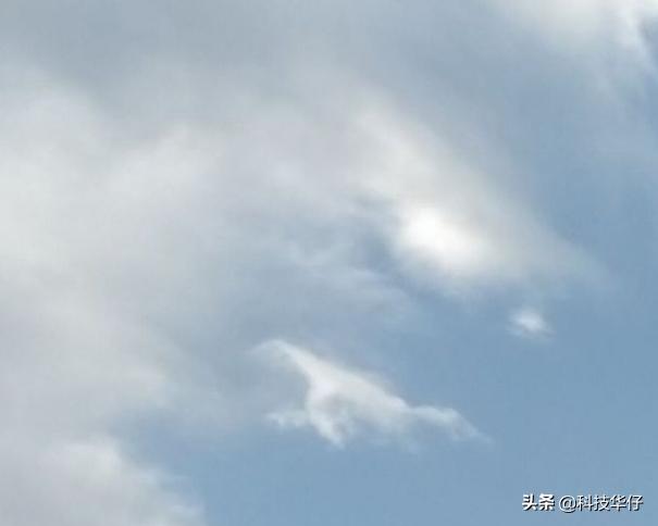 在这个世间,你都看见过什么神秘生物？