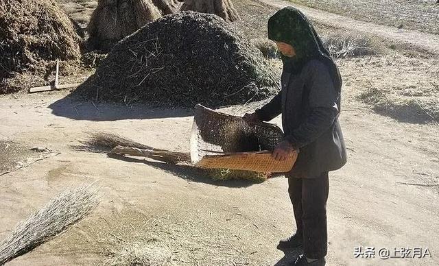 食人柳:慈禧太后喝人奶这事是真的吗？