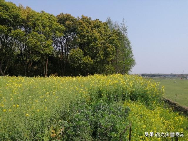 上海衡山路裸拍:上海有什么鲜为人知但很有意思的景点？