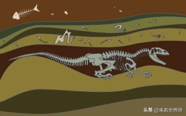 巨人骨骸:恐龙通过化石了解的，是不是地球一点点变大，把他们埋到地下了？
