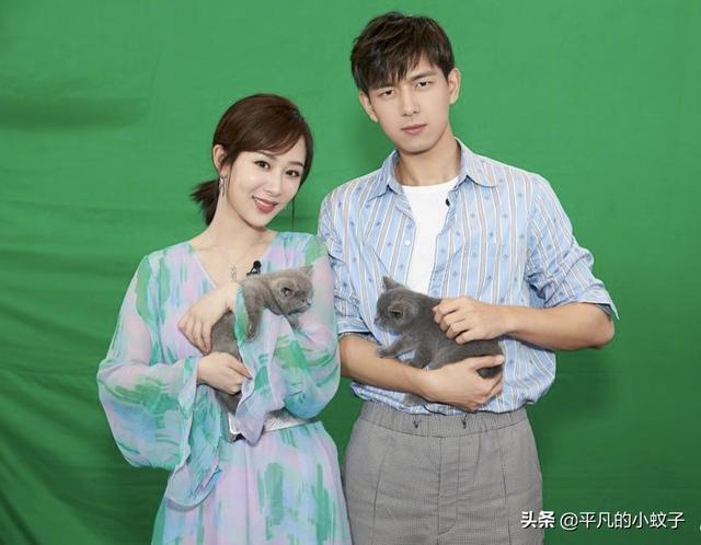 海清电视剧:如何评价黄磊、海清、陶虹主演的电视剧《小欢喜》？