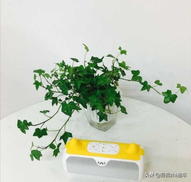 各位宝妈们,有适合外貌协会使用,功能又好的早教机推荐吗？