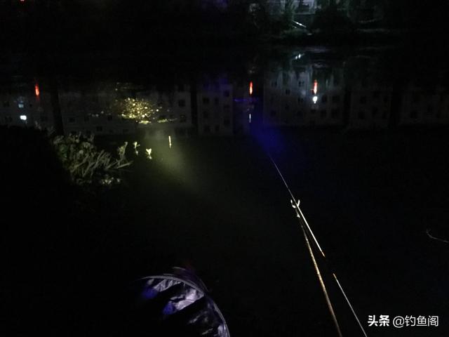 潜水艇鱼怕光吗:有人养过潜水艇鱼吗，新人求教，今天刚买的，只有一只小艇？