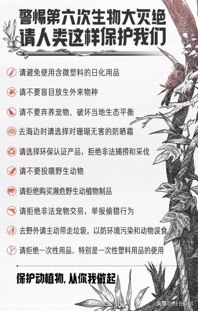 2018世界末日被证实:20-12-21末日言论不攻自破，今天正常，印度神童如何解释