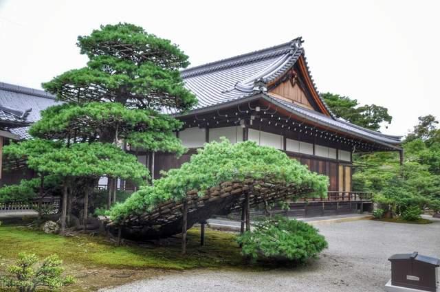 头条问答 日式庭院里一般会种哪些植物 9个回答