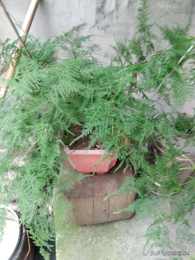 佛手掌快刀乱麻:一个单位上班遇到个喜欢你你却不喜欢他的人怎么办？