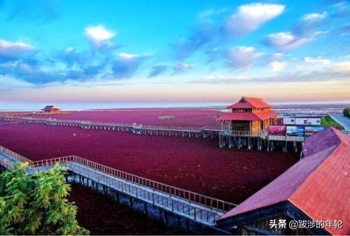 宠物旅行最佳搭配:如果外出旅游，哪些地方可以带狗狗一同去？