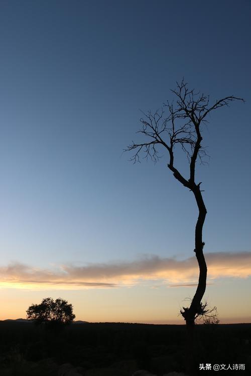 夕阳西下的美景诗句？