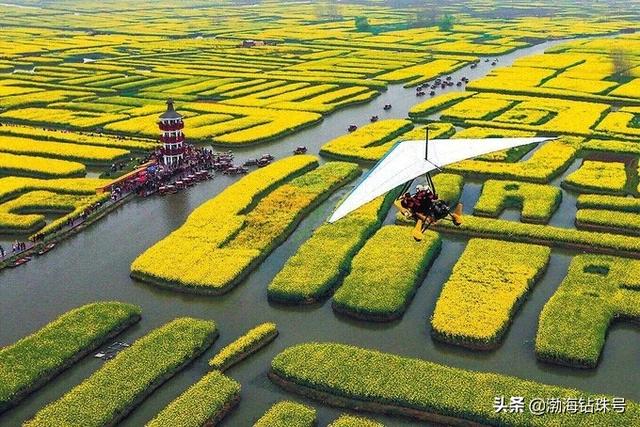 松江广富林灵异事件:松江广富林公园门票多少？