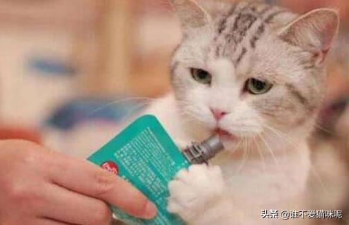 橘猫吃药视频:不到一岁的孩子有病需打针吃药吗？ 橘猫吃醋视频