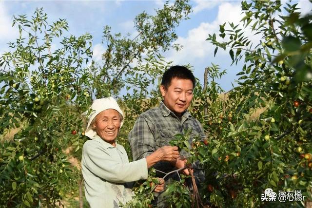 老妈走了,遗憾,不舍,自责,心痛,无法释怀,怎么办？