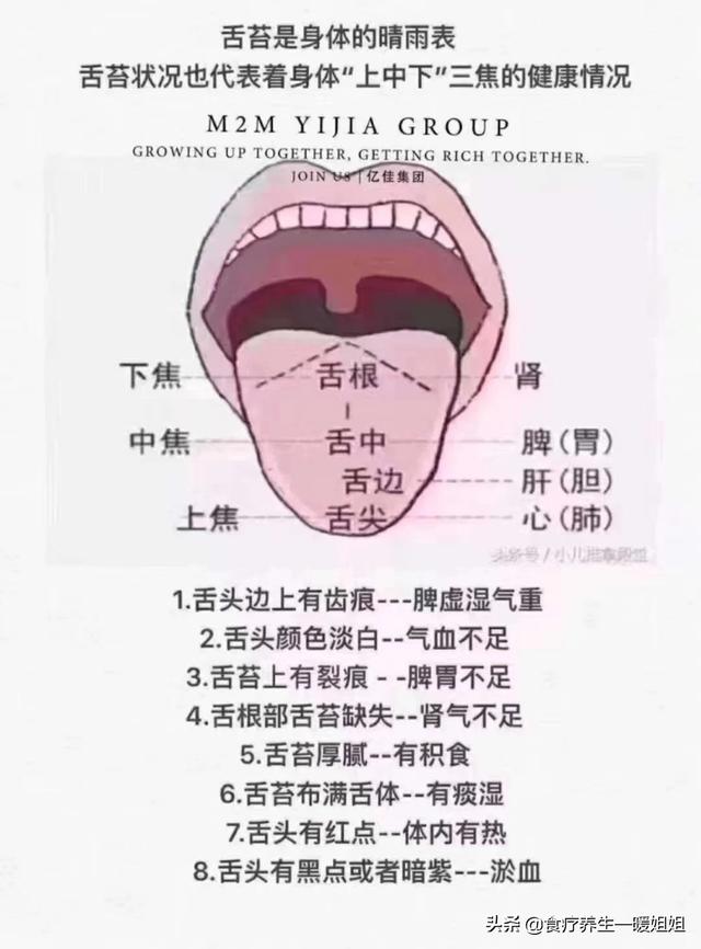 头条问答 从舌苔上能看出什么身体问题 食疗养生 暖姐姐的回答 0赞