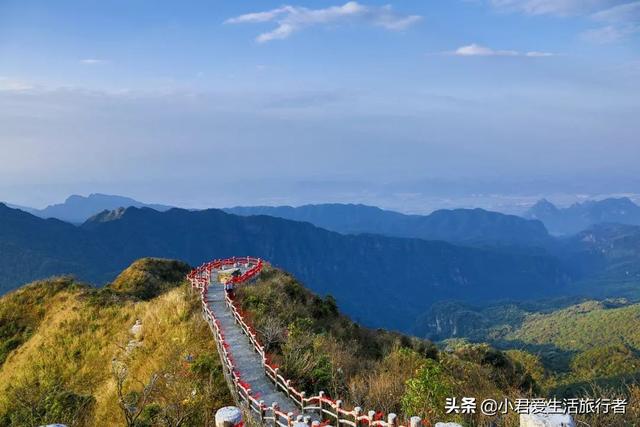 西伯利亚鼯鼠哪里有卖:全家人想去三亚旅游，行程应该如何制定？有哪些攻略推荐？