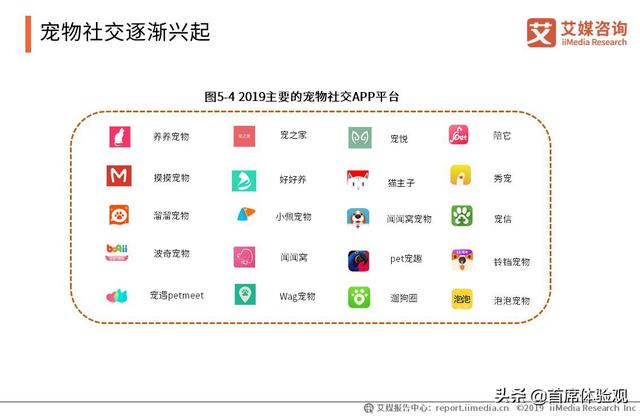 2017年开宠物店赚钱吗:投资宠物店，资金多久能回本？
