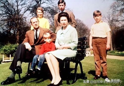 英国女王的狗狗:宠物纠纷，狗狗咬死了别人家的狗狗。我该怎么处理？