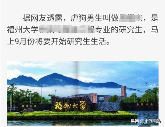 虐狗视频:如何评价准研究生虐狗事件？会被判刑吗？