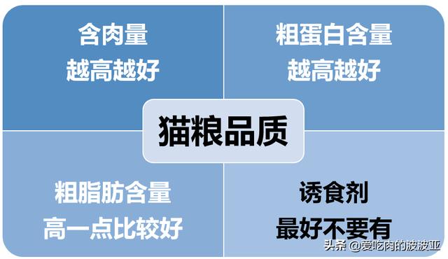 伟嘉妙鲜包猫咪的害处:怎样养好两个月的幼猫呢？