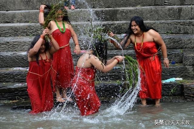 灰尘使者:放在阳台的绿植，叶子上经常落一层灰，怎样清理比较好